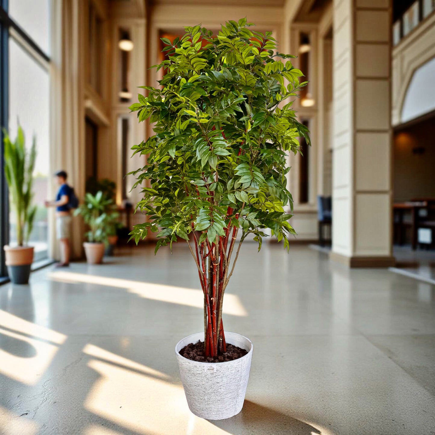 Royal Red Bamboo Tree