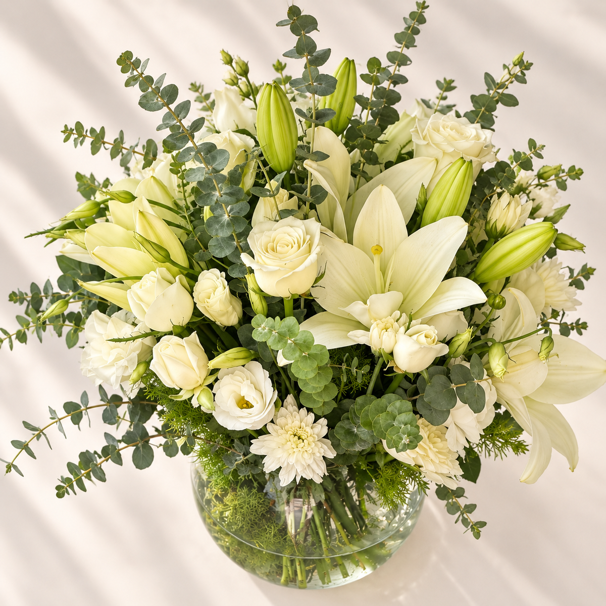 Qq (Copy 10)