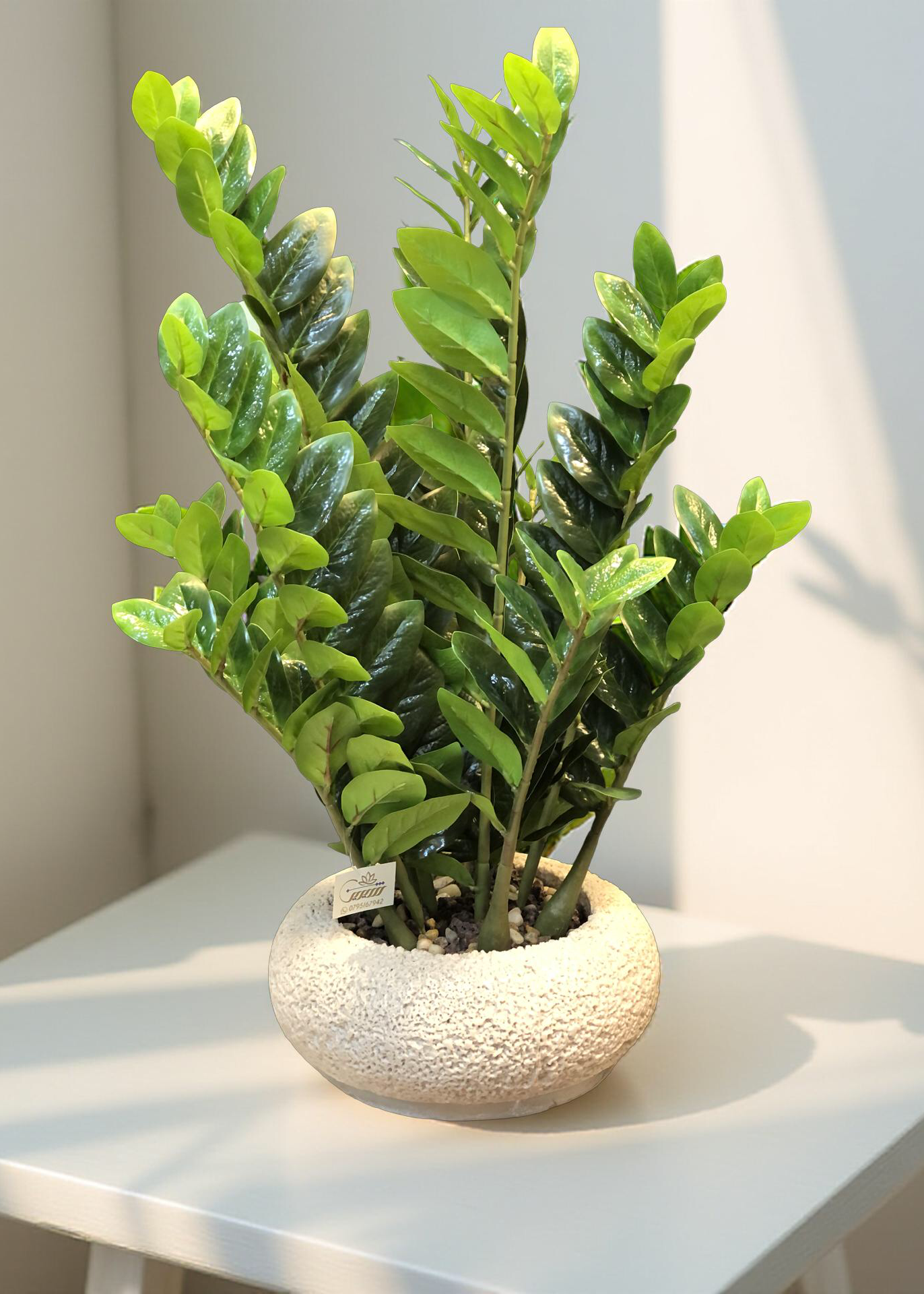 Artificial Zamioculcas plant