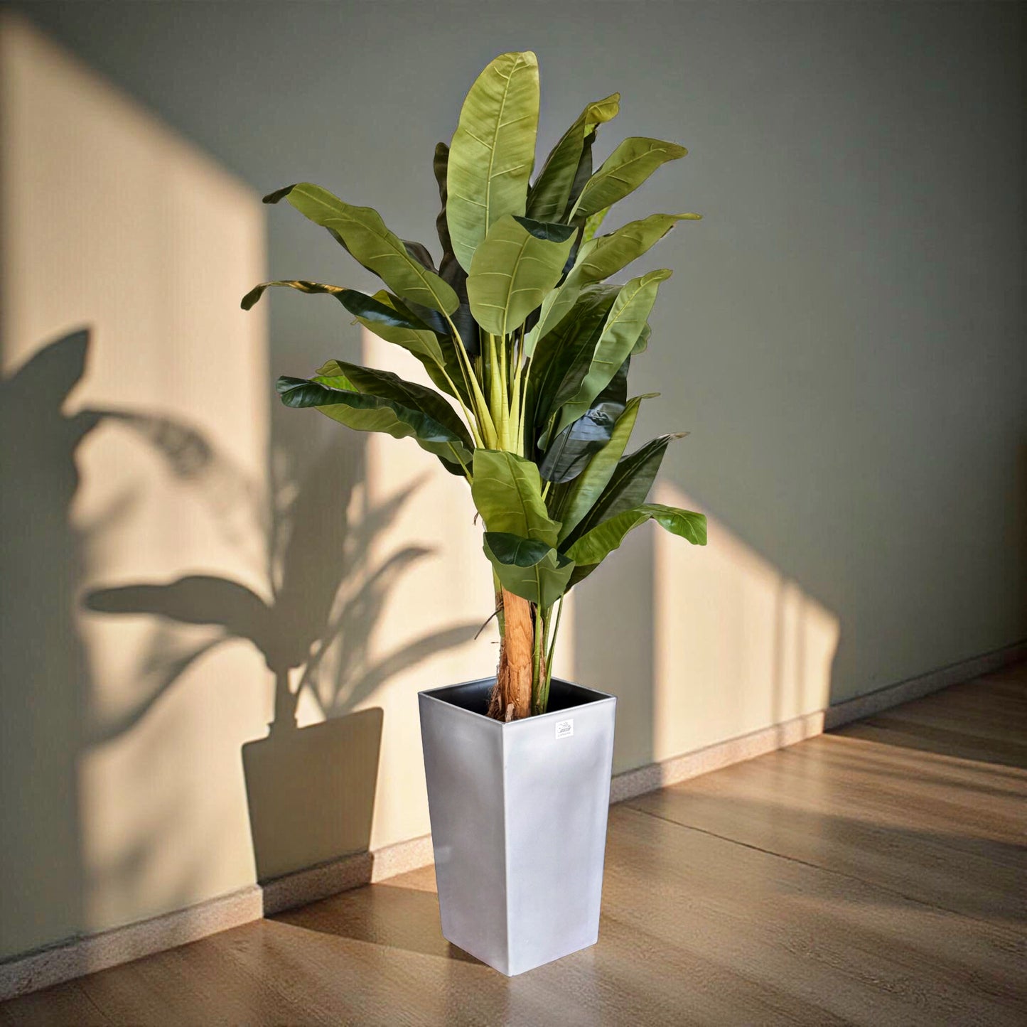 Evergreen Banana Leaf Tree