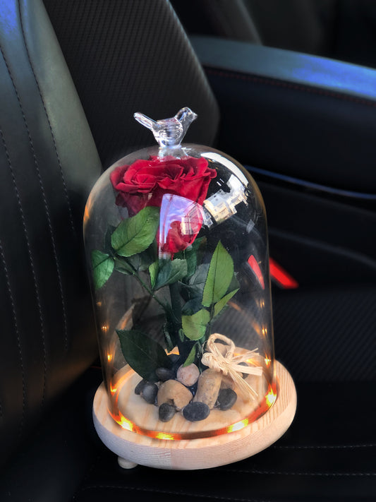 ForEver Rose with Illuminated Glass Vase