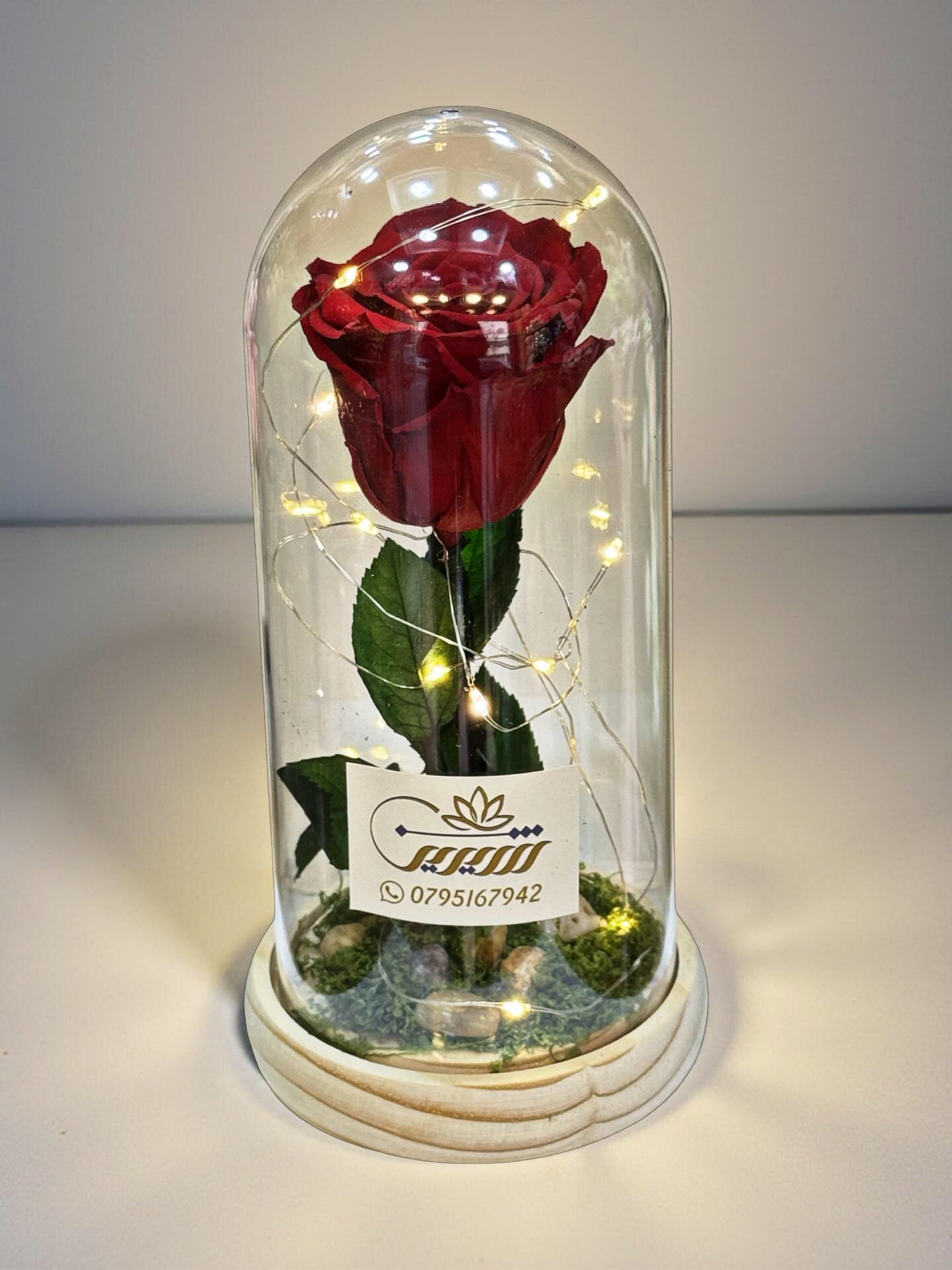 ForEver Red Rose in Vase with LED Light