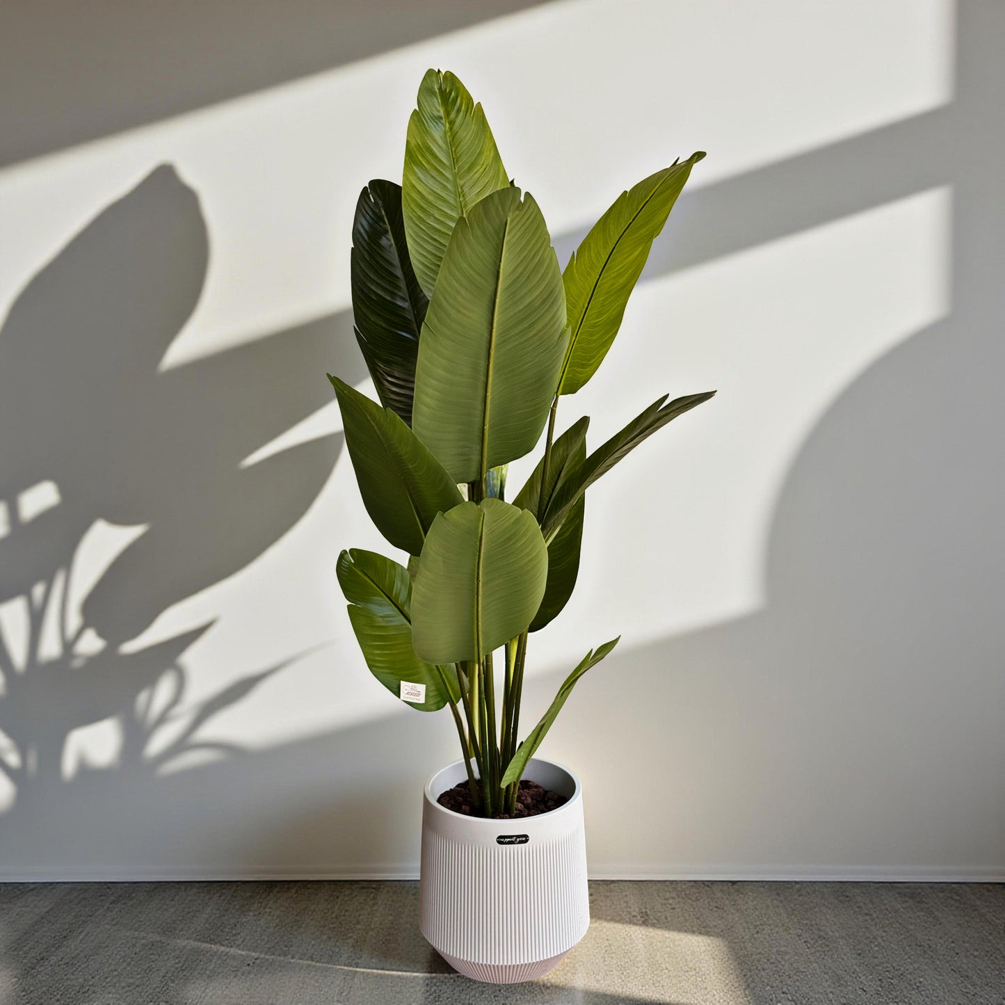 Tropical Banana Leaf