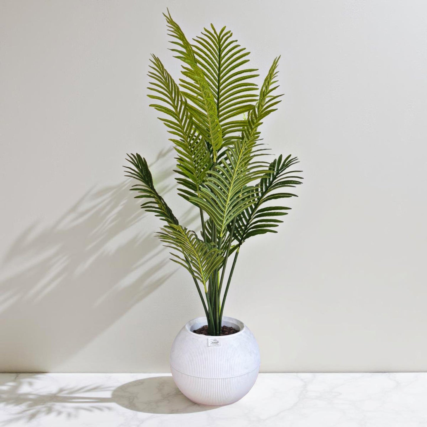 Areca Elegance Palm