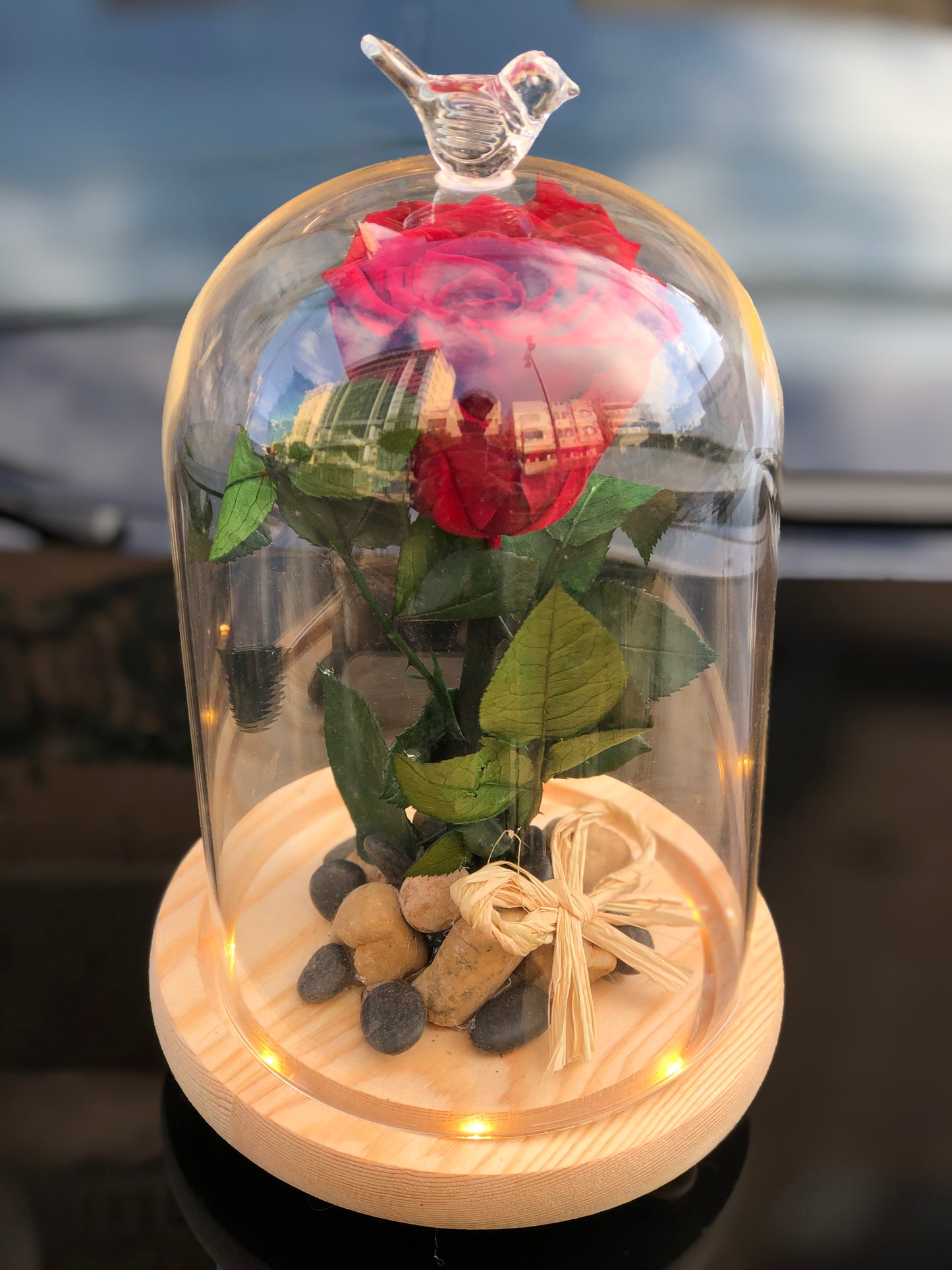 ForEver Rose with Illuminated Glass Vase