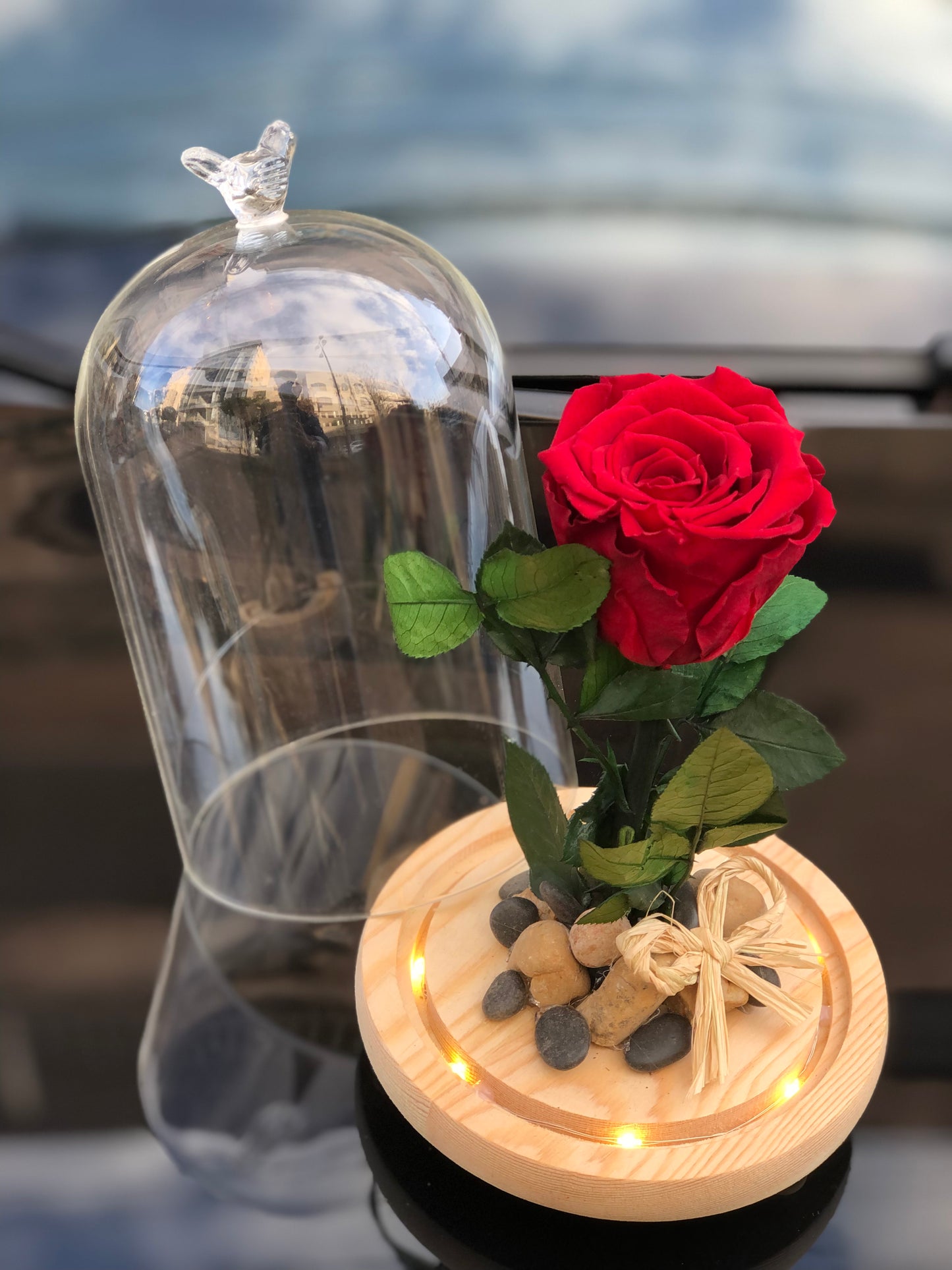 ForEver Rose with Illuminated Glass Vase