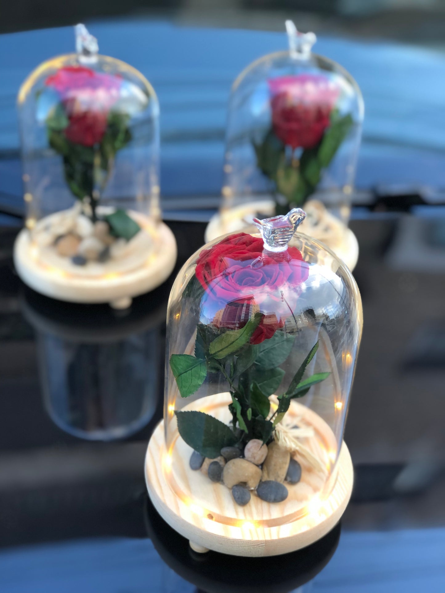 ForEver Rose with Illuminated Glass Vase