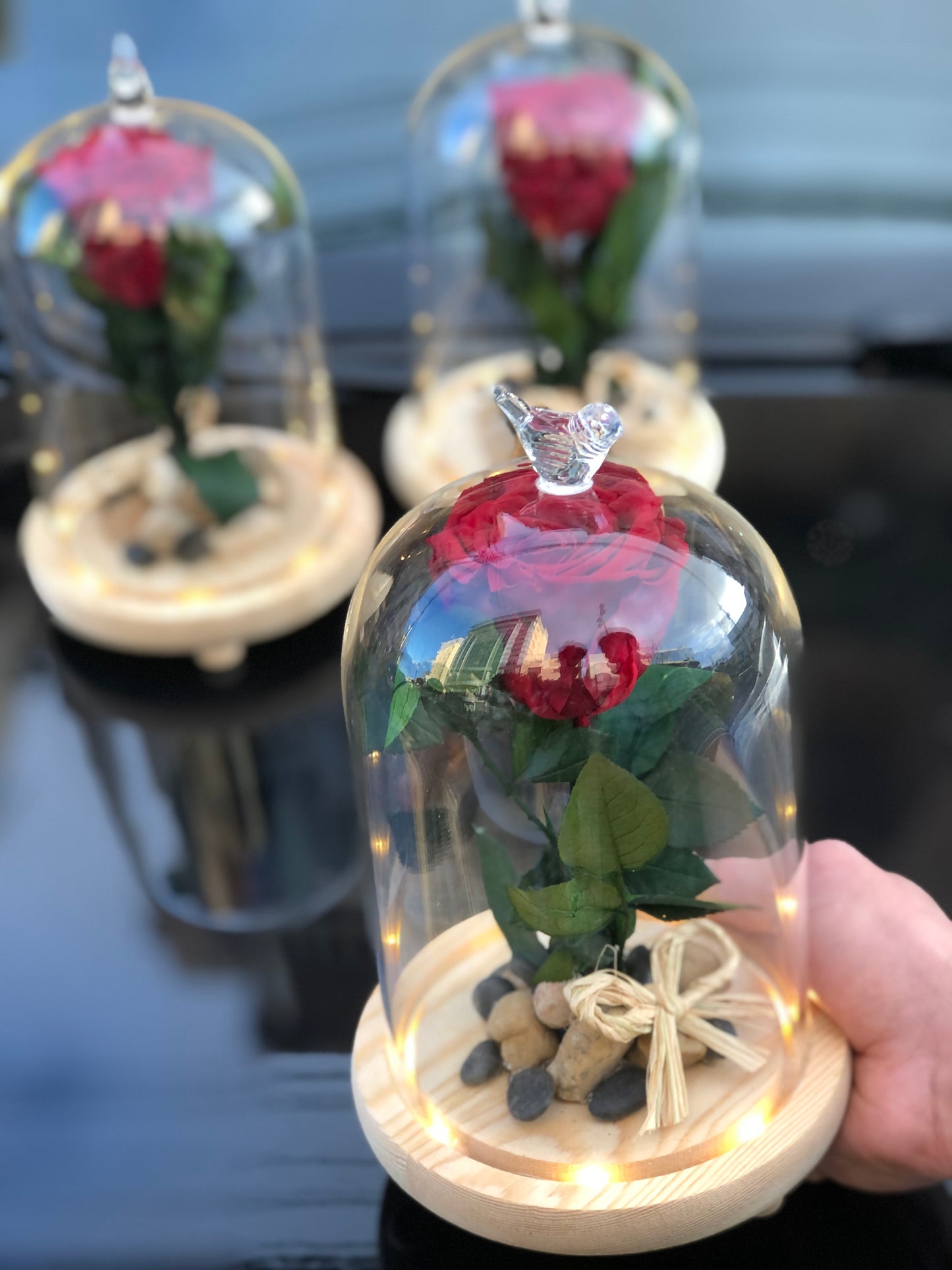 ForEver Rose with Illuminated Glass Vase