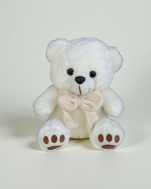 Luxurious Small White Teddy Bear