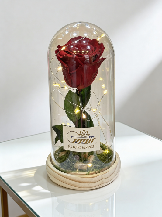ForEver Red Rose in Vase with LED Light
