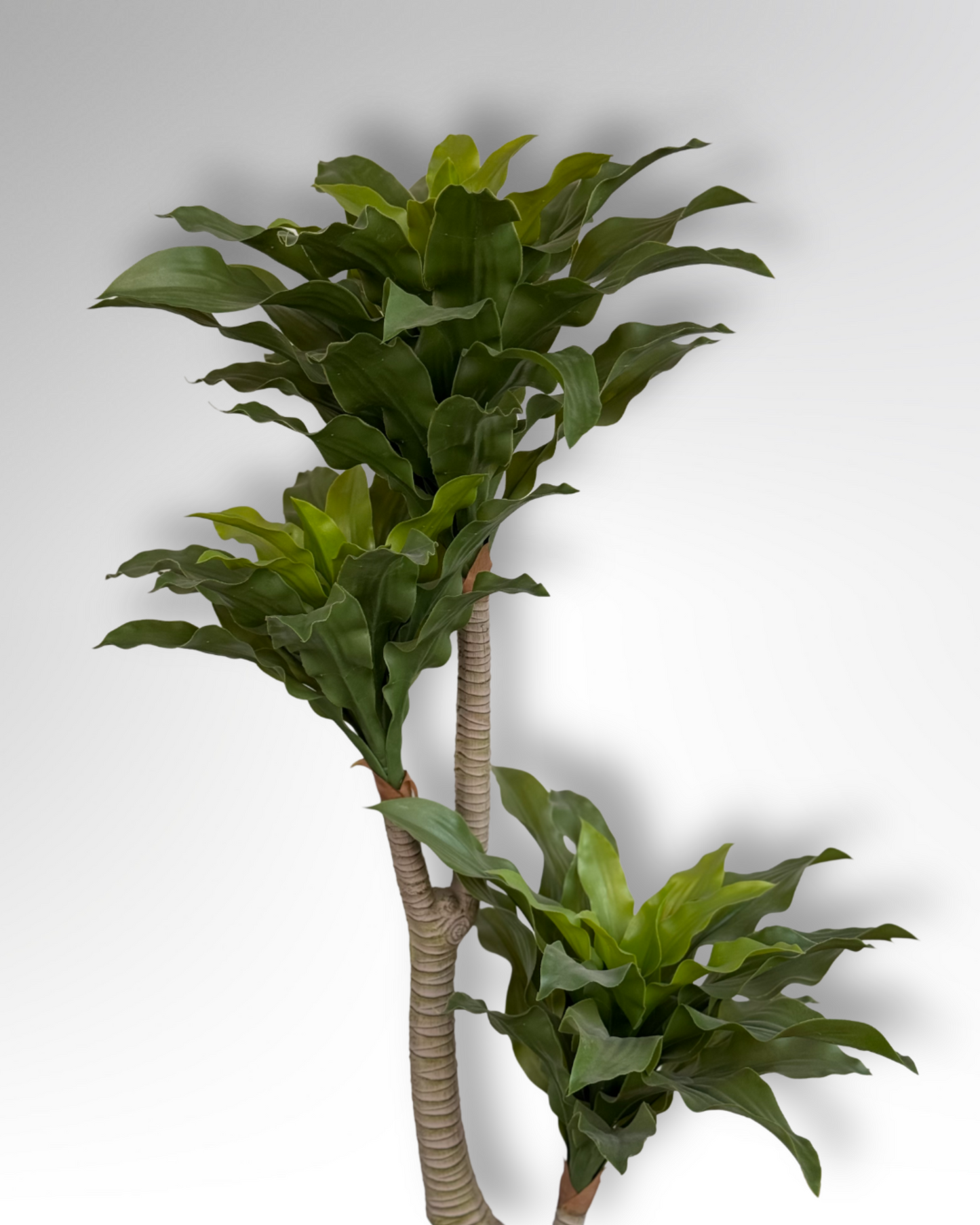 Artificial Dracaena Fragrans Tree