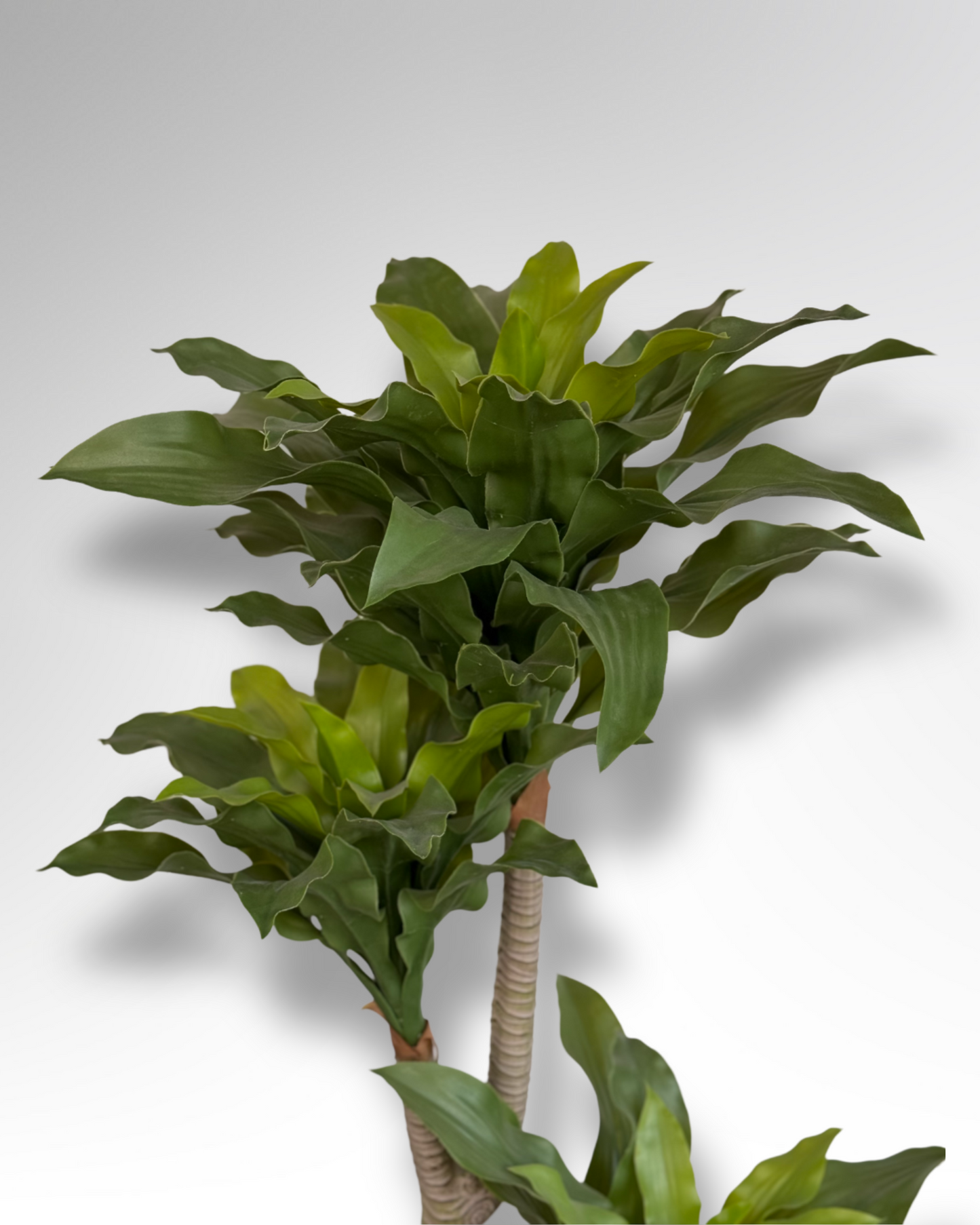 Artificial Dracaena Fragrans Tree