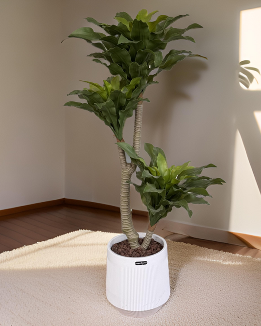 Artificial Dracaena Fragrans Tree